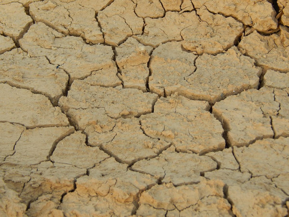 Why Kansas foundations crack expansive clay soil